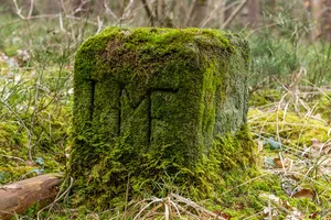 Grenzstein Fürther Stadtwald in Fürth
