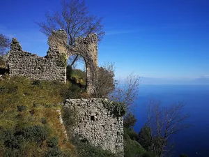 Francesco di Cospiti