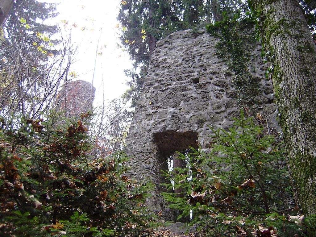 Burgruine Alt-Hofen Lochau Vbg, Torbau mit Bergfried im Hintergrund
