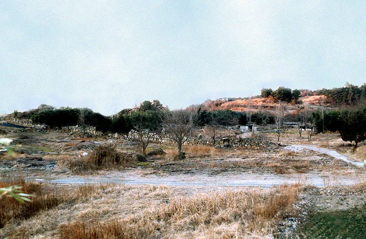 울산광역시 기념물 제6호, 개운포성지 (開雲浦城址)