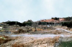 Gaeunpo Castle Site