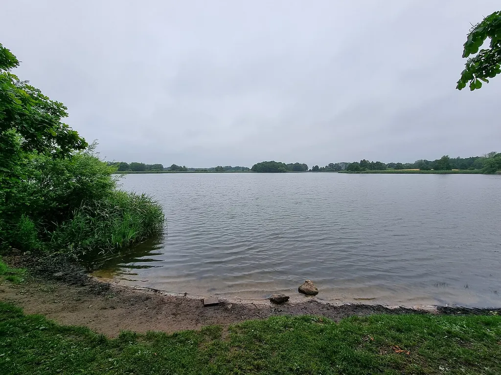 Dippelsdorfer Teich
