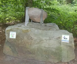 Schwedenfindling