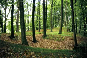 Burg Bodenhausen