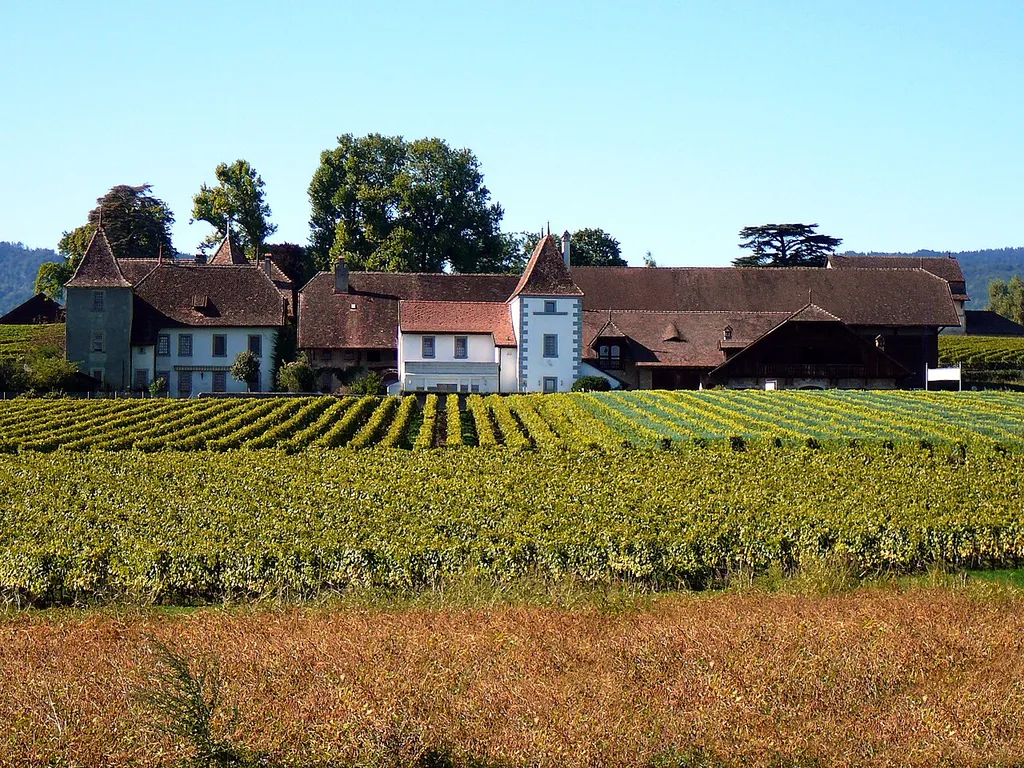 Panorama of the Duillier Castle, in Switzerland