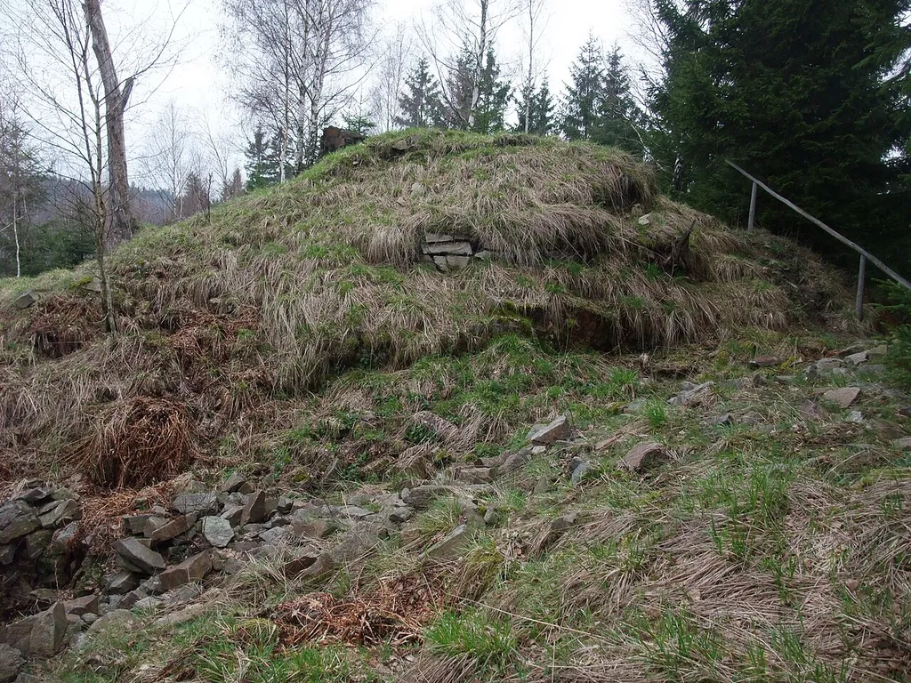 Reste der Wallanlage Liebenstein östlich von Pobershau.