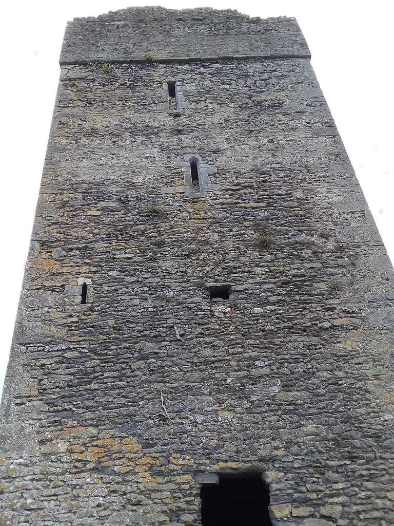 Newtown (Shea) Castle from North side