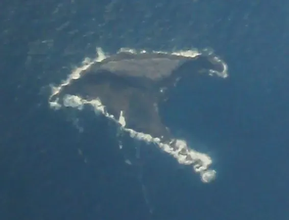 Kārewa / Gannet Island