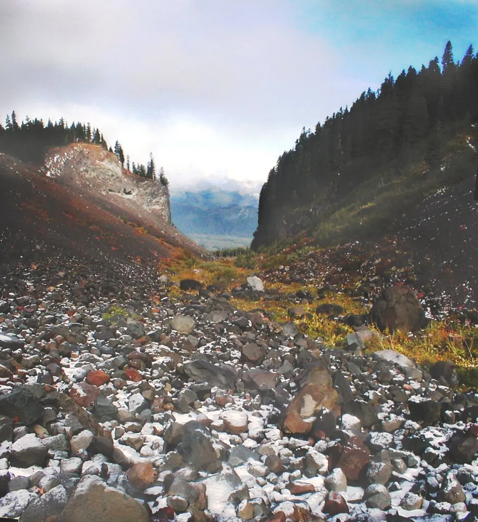 Glacial valley, Mount hood wilderness