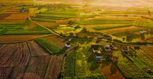 Sllatina (Vushtrria)