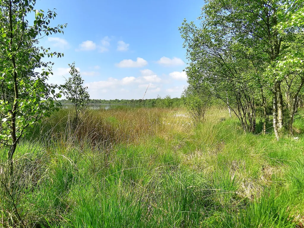 Bülter See und Randmoore