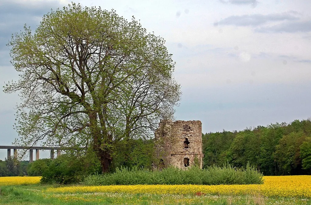 Die Niederburg in Büren-Brenken im Mai 2012