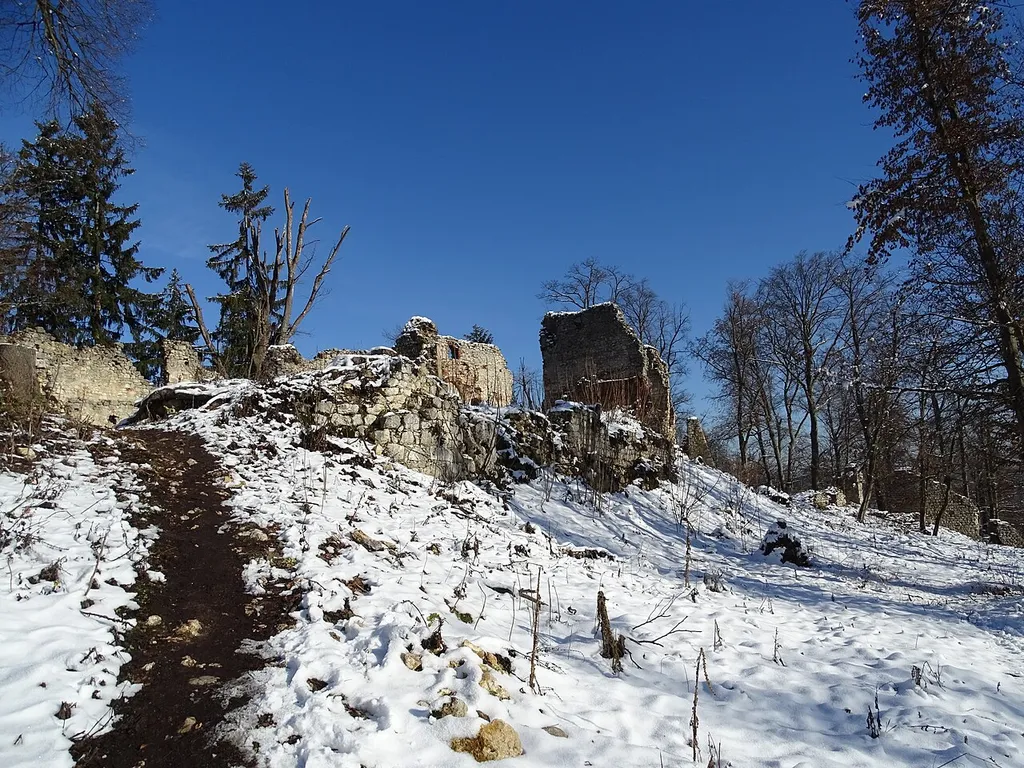 Der südliche Teil der alten Ringmauer der Burg Neu-Wildon am Wildoner Schlossberg in der Steiermark