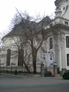 Amerikanischer Zürgelbaum Klosterstraße Ecke Parochialstraße