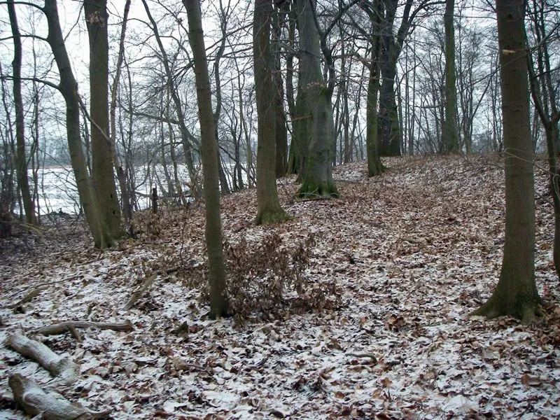 Burgwall Treskow