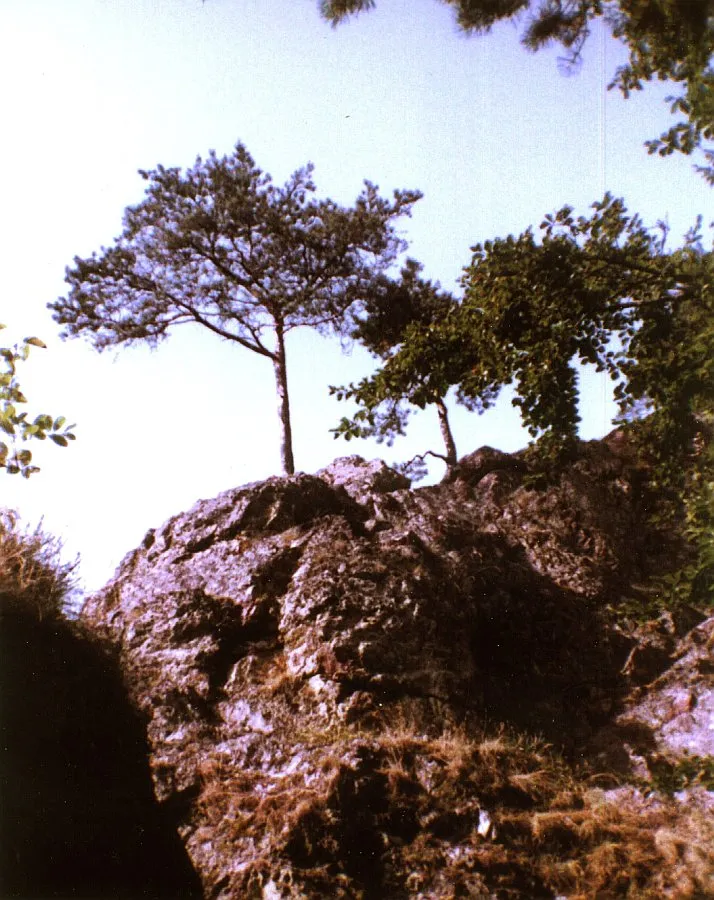 Castle New Blumberg