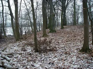 Burgwall Treskow