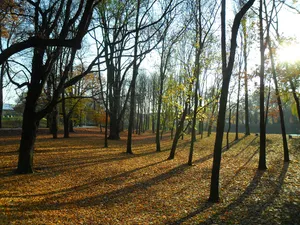 Castle park in Racibórz