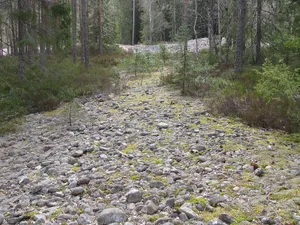 Lövbrickan