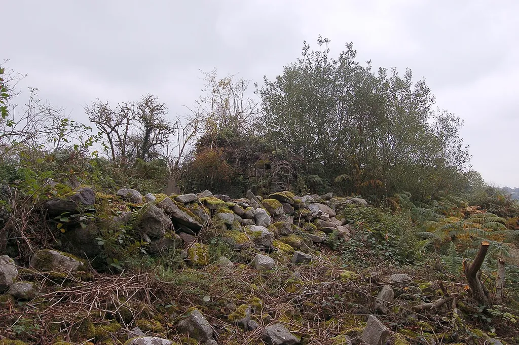 View from the Southwest in the graveyard towards the remains of the East gable of Kilcullen Church. There seems to be a lot of collapsed material on the outside of the South wall almost looking like there was another square structure attached.