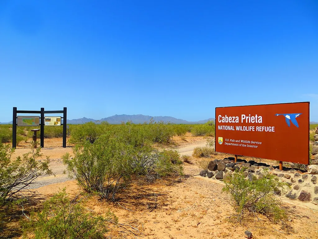 Cabeza Prieta National Wildlife Refuge