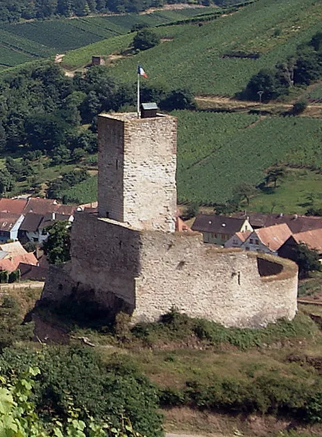 Die Burgruine Winecke in Katzenthal, Haut-Rhin, Frankreich, von Nordwesten gesehen