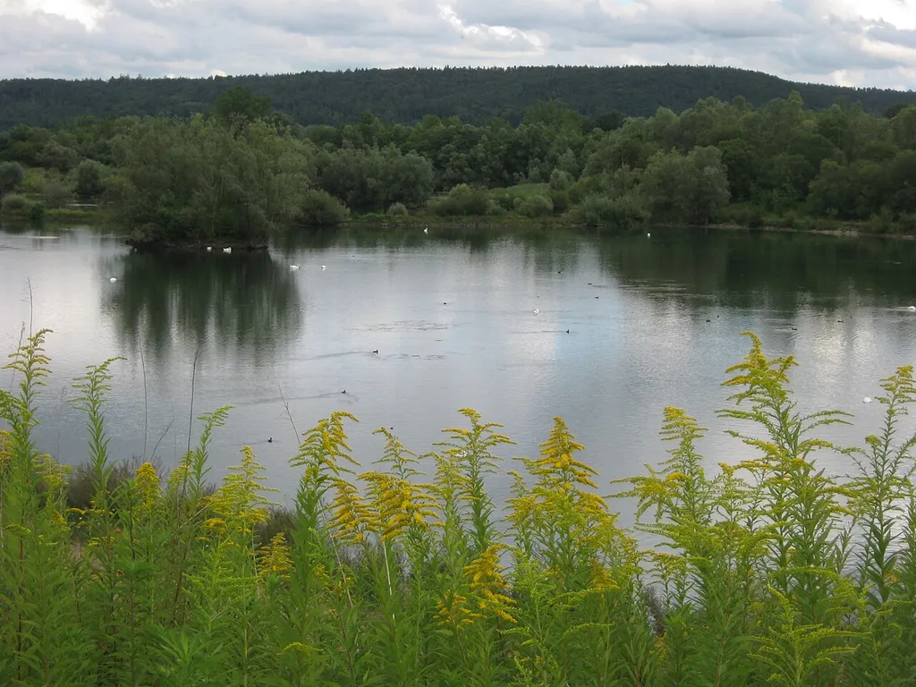 Burglehen