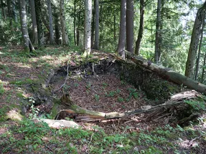 Fründsberg, medieval castle site