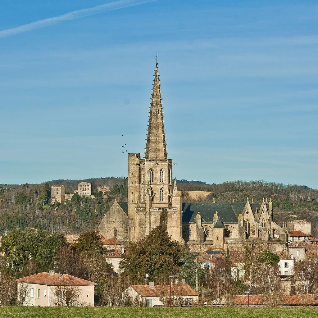 Vue de Mirepoix. La cathédrale, et à gauche, le château de Terride.