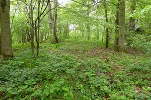 Weper, Gladeberg, Aschenburg