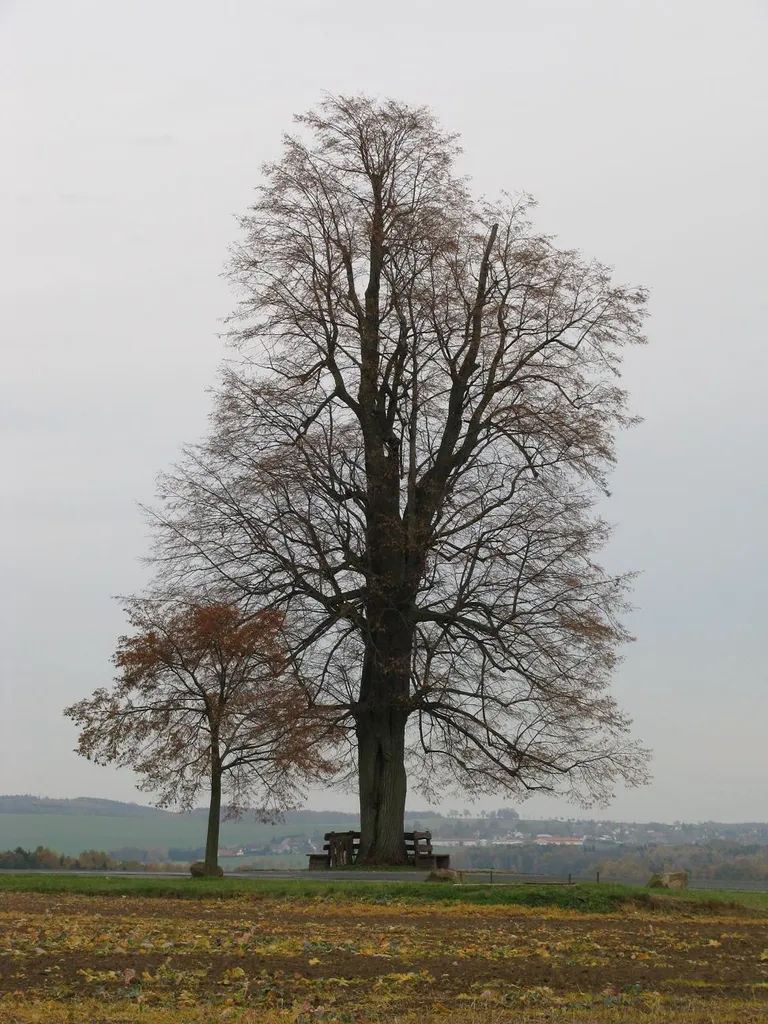 Pfarrberg