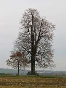 Pfarrberg