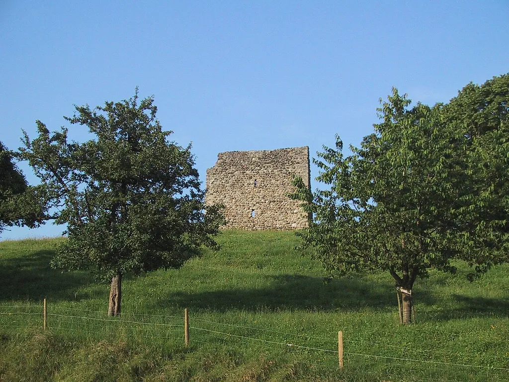 Ruine Anwil in Buhwil TG.