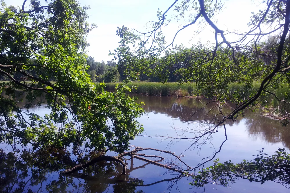 Der Fünfhufenteich