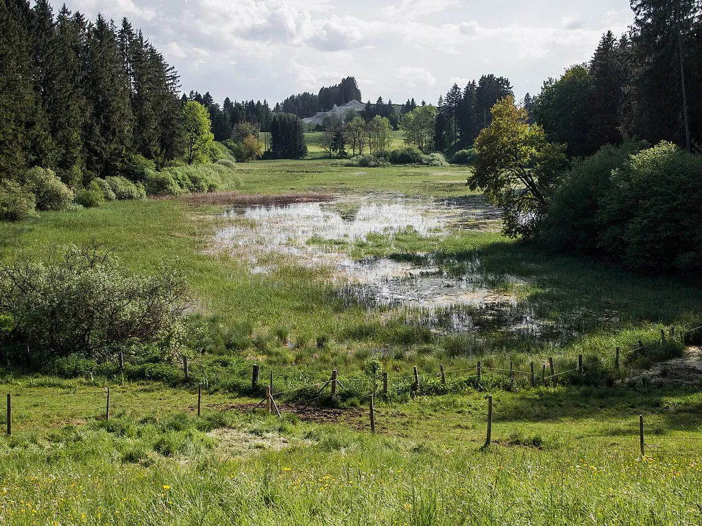LSG Toteiskessel zwischen Burggen und Bernbeuren
