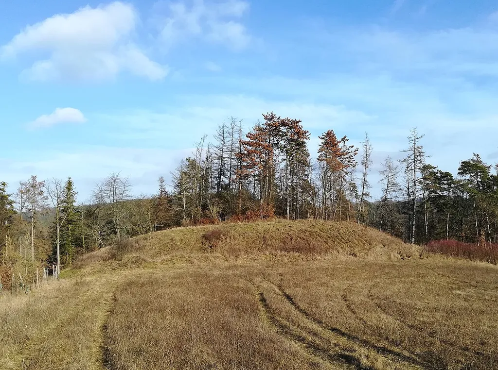 Skryje (okres Brno-venkov) - hrad Rysov, pohled od JZ