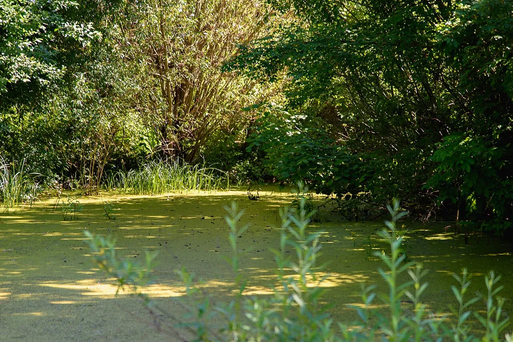 Hüle Frankenhofen