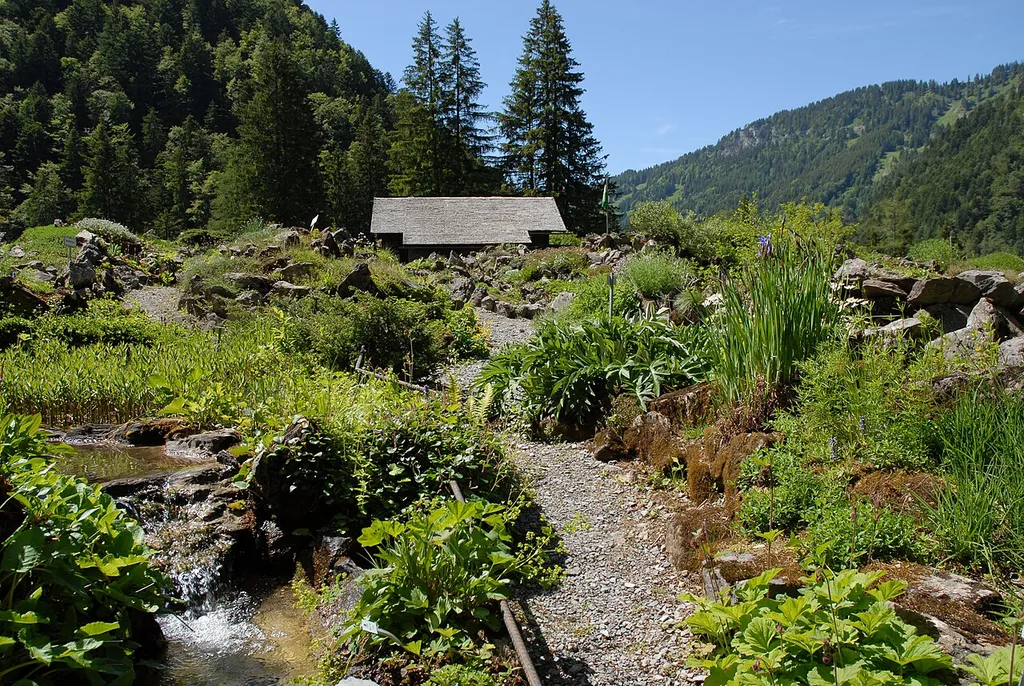 View of the alpine garden, La Thomasia, near Bex, Switerland, which forms part of the Musée et jardins botaniques cantonaux, Canton of Vaud.