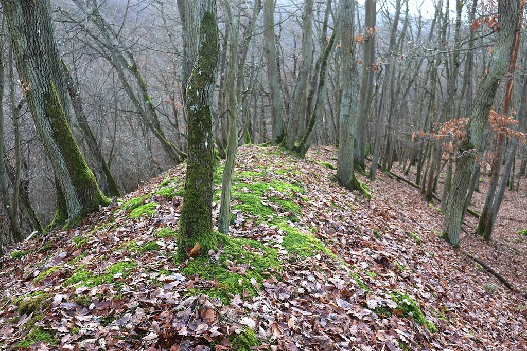 Felsensporn Druidenstein