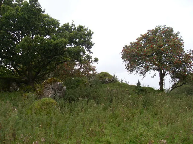 Auchencloigh castle I'm not sure whether this is the remains of the castle or the farmhouse. The Explorer map shows the castle (remains of) but doesn't show the farmhouse at all. The trees are oak and rowan.
