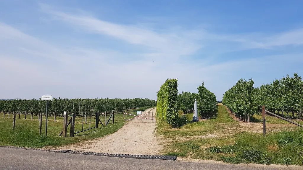 Belgium-Netherlands boundary stone no. 35
