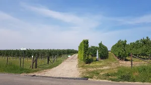 Belgium-Netherlands boundary stone no. 35