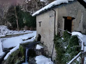 Museum of rural traditions