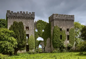 Daly Castle