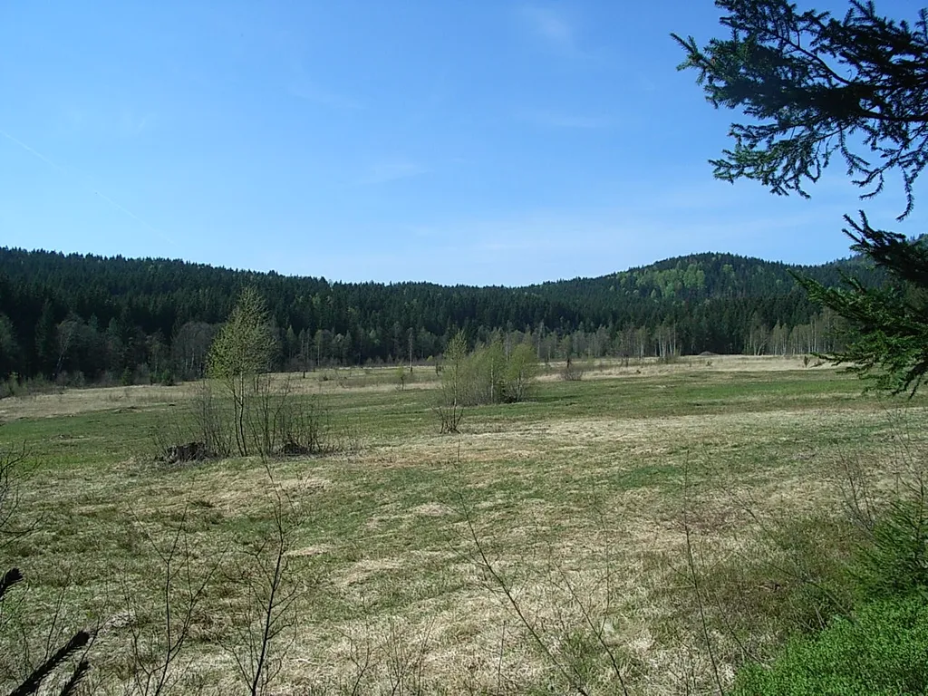 Die Stockauwiesen im April