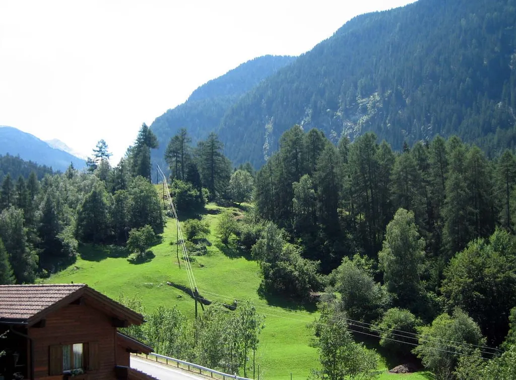 Hügel Bärenburg