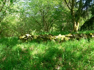 Turmburg Alt-Berneck