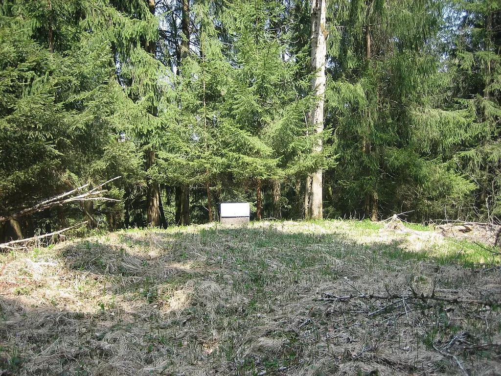 Burgstall bei Zell, Bad Grönenbach, Bayern