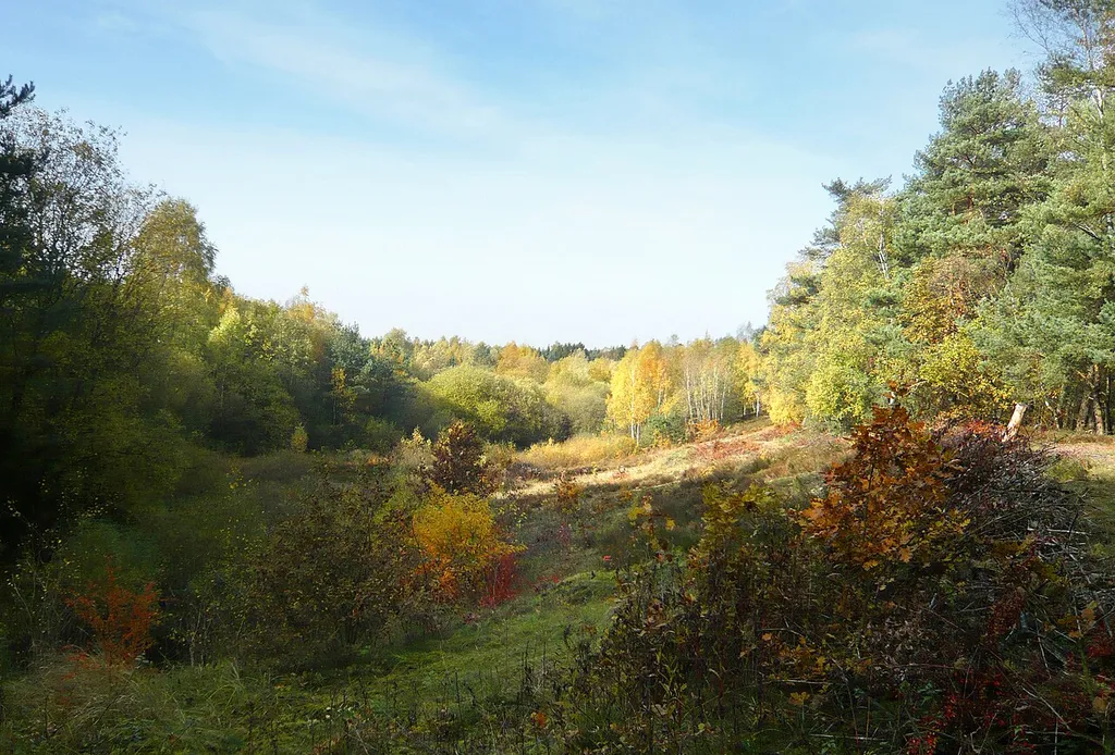 Ölbachtal mit Augustdorfer Dünenfeld