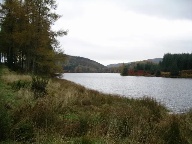Loch Drunkie. Looking E, from the edge of the cycleway through the Achray Forest.